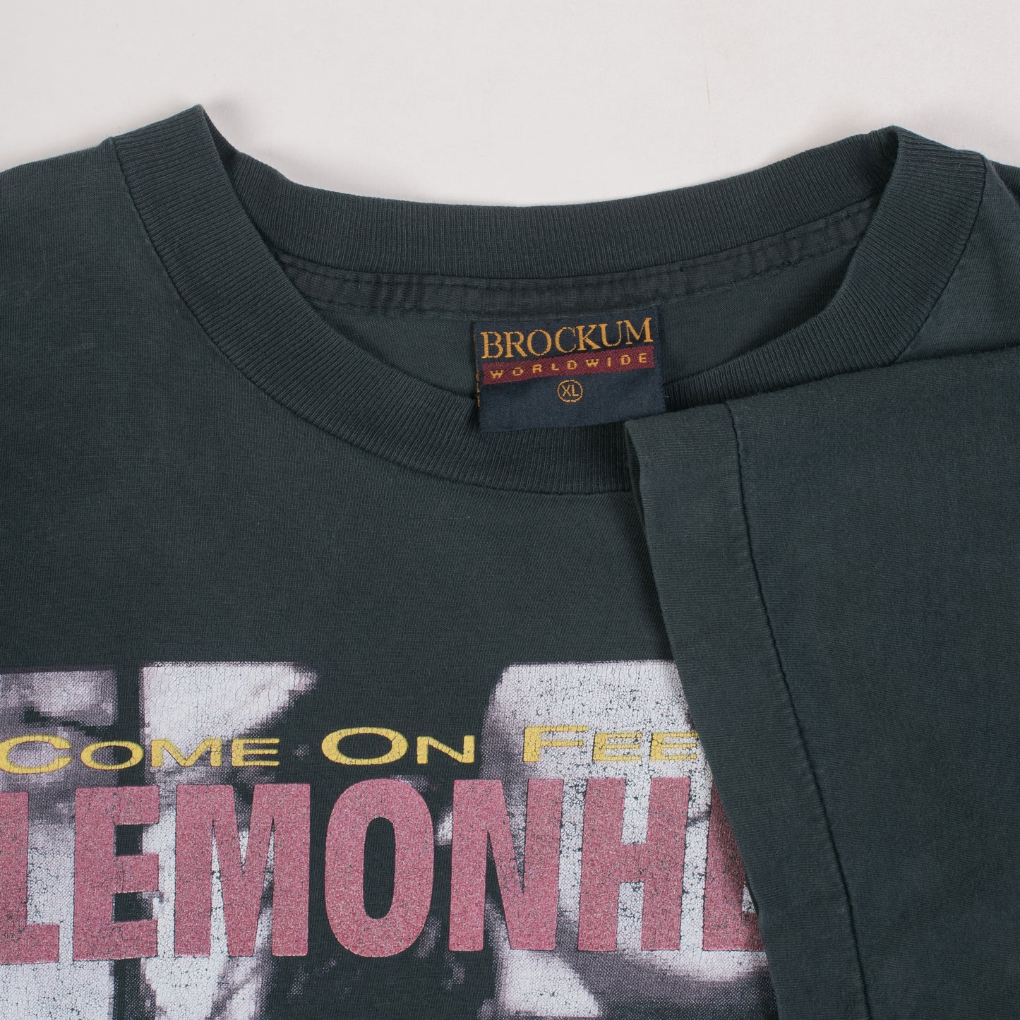 Vintage 1993 Lemonheads Tour T-Shirt