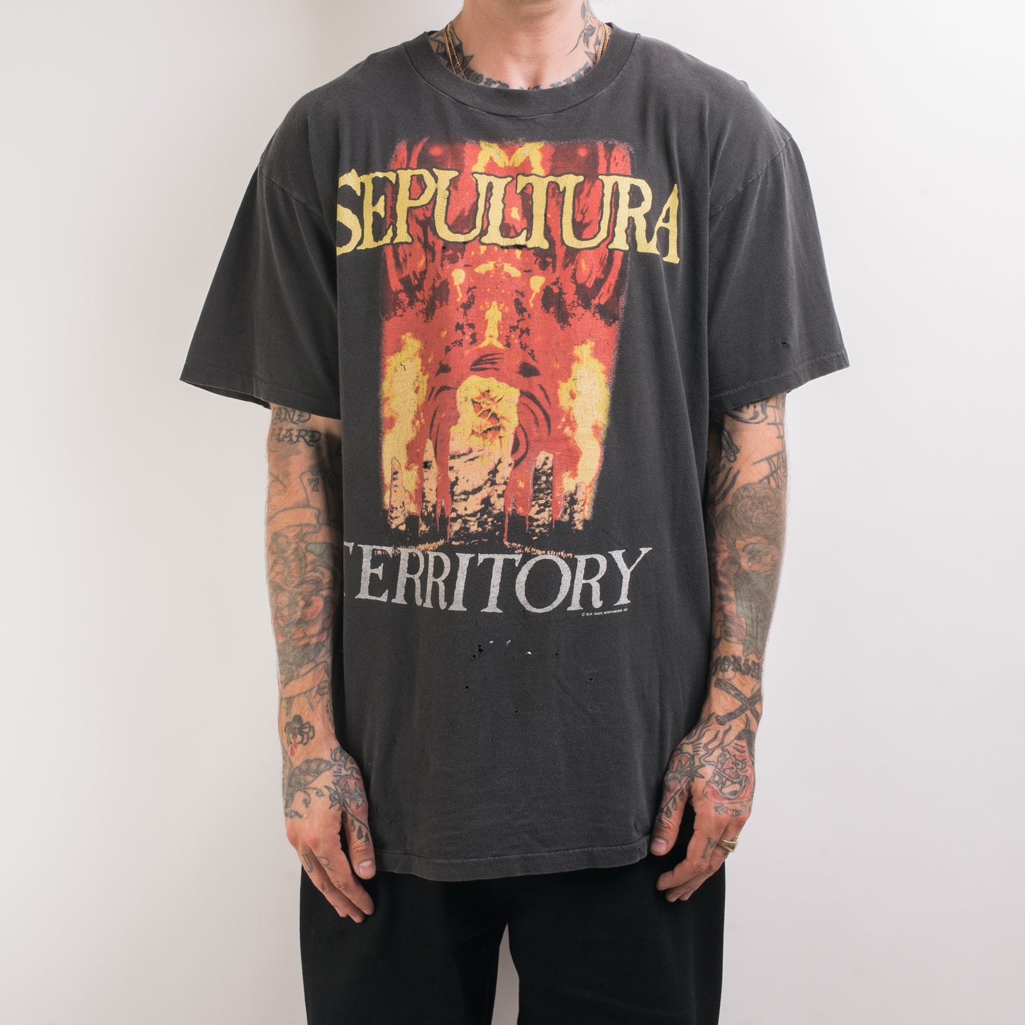 Vintage 1993 Sepultura Territory T-Shirt