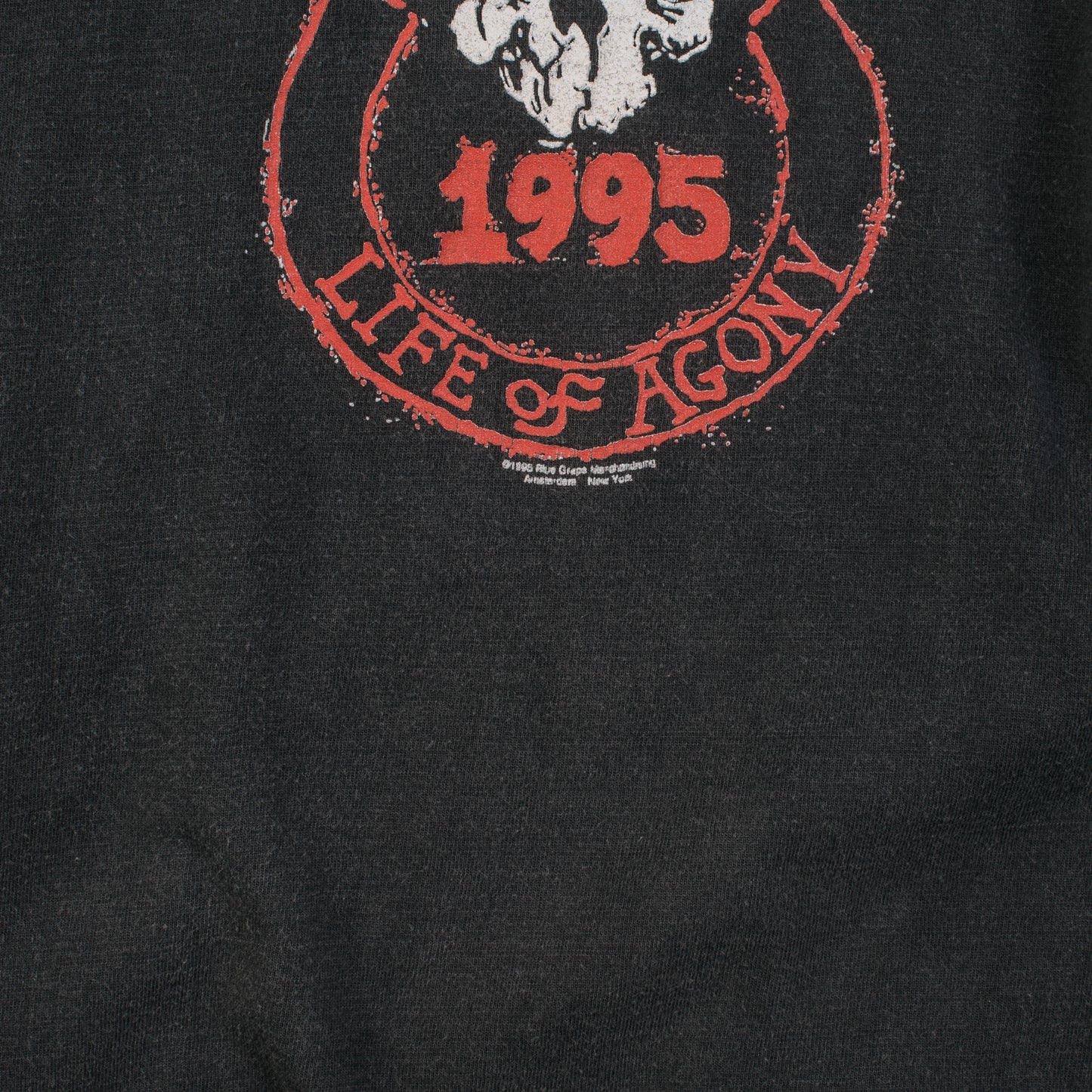 Vintage 1995 Life Of Agony This Time Longsleeve