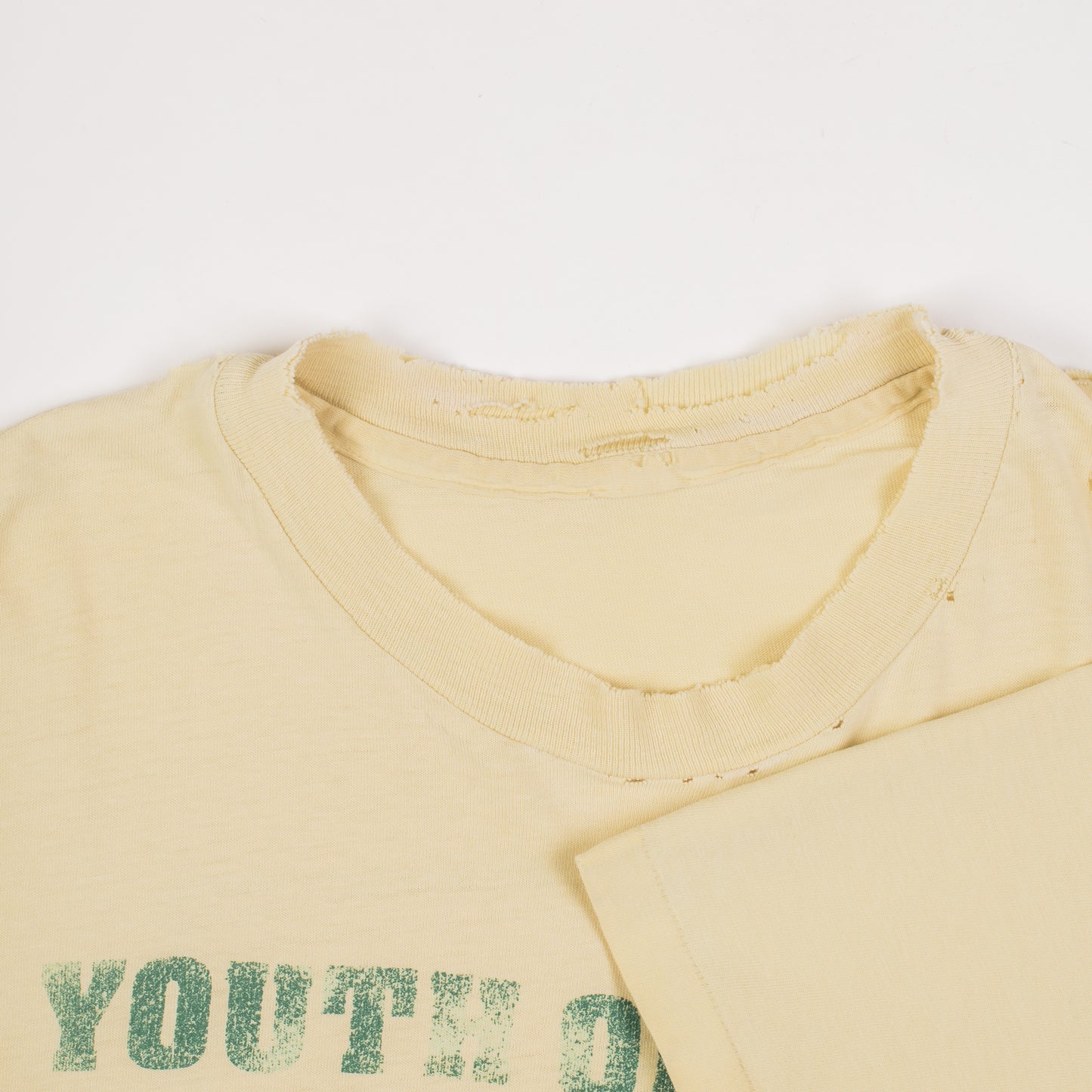 Vintage 90’s Youth Of Today Go Vegetarian T-Shirt